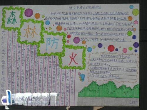 森林防火手抄报版面设计图
