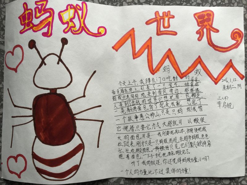 文学社手抄报作品展