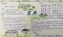 草原主题手抄报图片大全