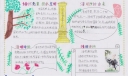 4月4日清明手抄报作品