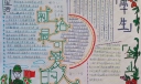 军训献给最可爱的人手抄报图片