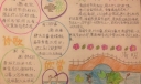 清明节手抄报资料