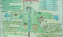 《森林报》优秀手抄报作品