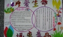 珍爱生命远离毒品手抄报图片-精品推荐