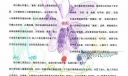 文明用语手抄报图片