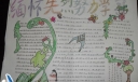 缅怀先烈努力学习手抄报作品