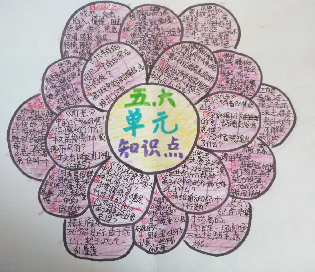 期末单元复习要点手抄报