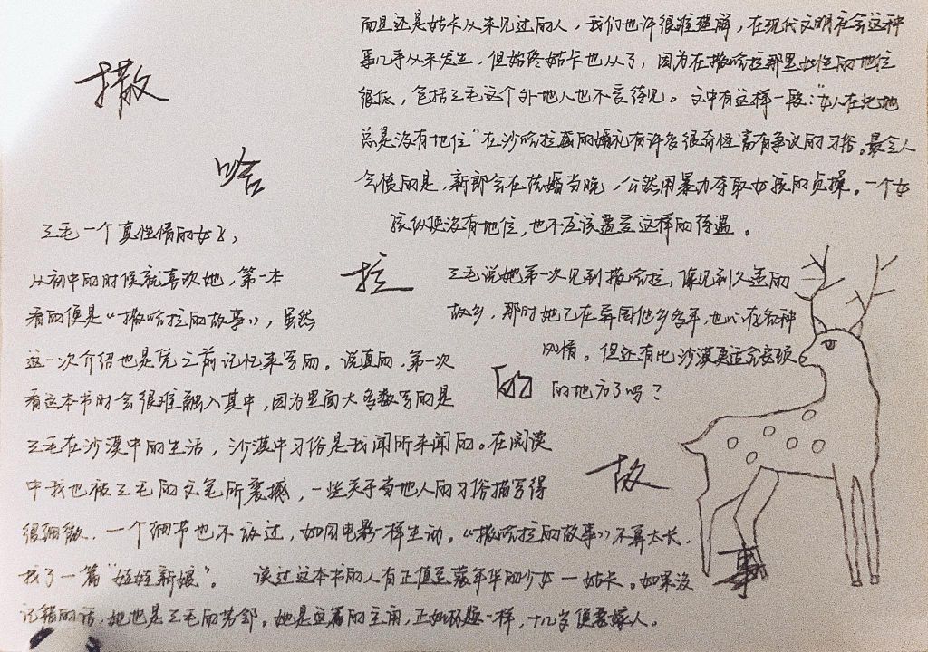撒哈拉的故事手抄报图片