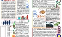 我的家乡电子手抄报（word版）