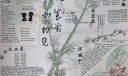 语文获奖手抄报：人生若只如初见
