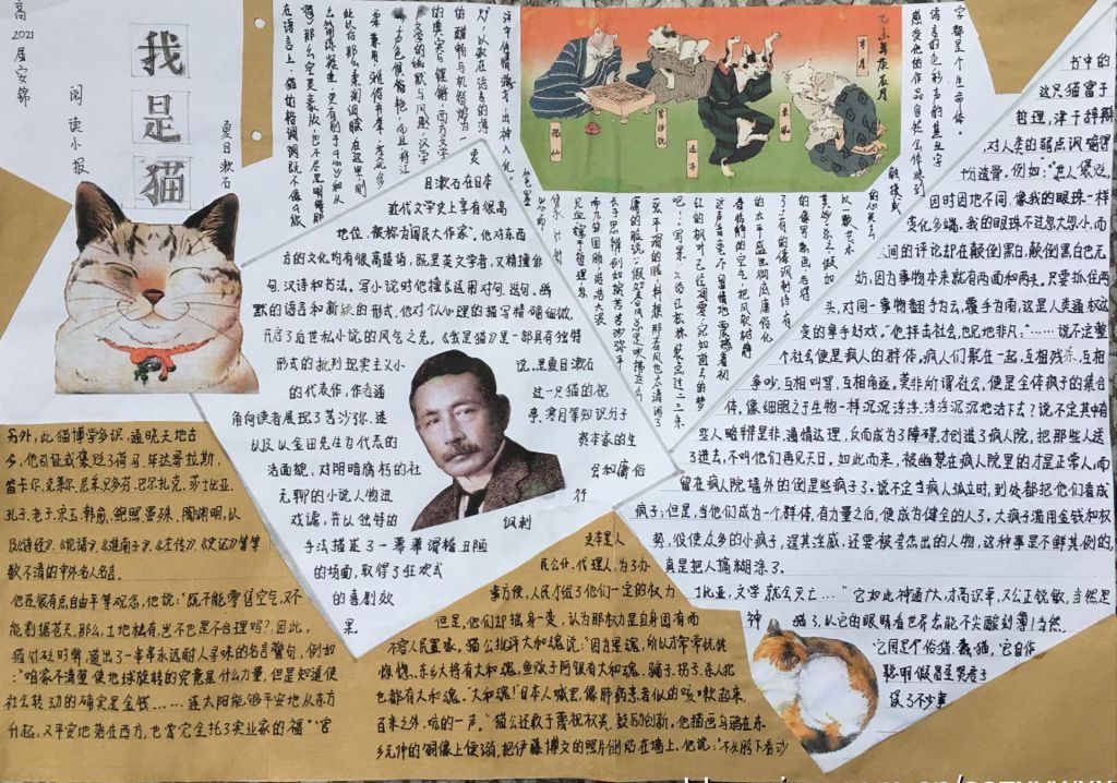 《我是猫》阅读小报 《我是猫》阅读小报