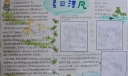 夏天手抄报版面设计图