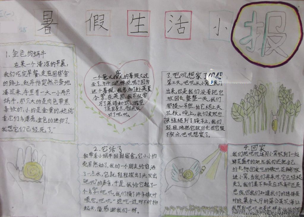 暑假活动小报图片