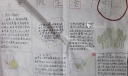 暑假活动小报图片