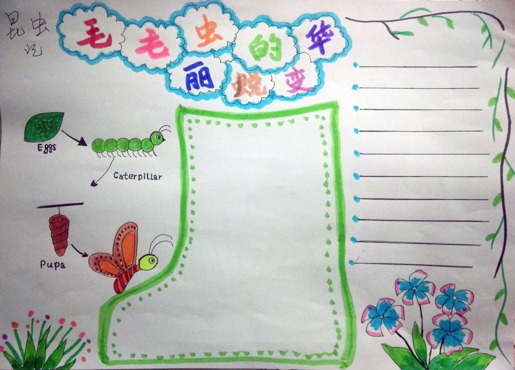 昆虫记之毛毛虫的华丽蜕变手抄报 昆虫记之毛毛虫的华丽蜕变手抄报