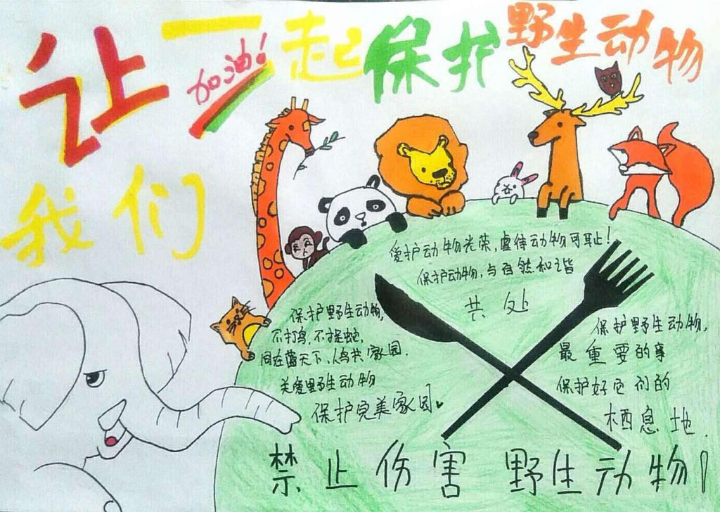 禁止伤害野生动物手抄报，让我们一起保护野生动物吧！
