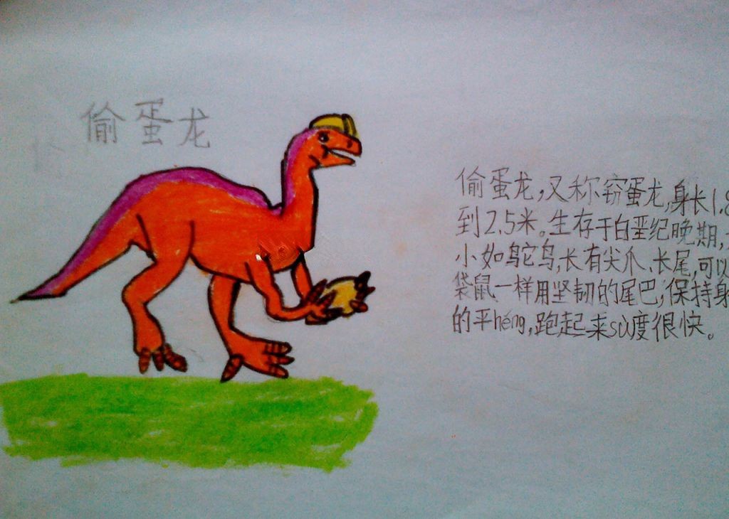 恐龙的灭绝手抄报