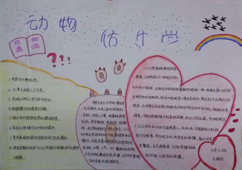 仿生科技手抄报图片大全
