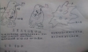 生物的呼吸手抄报