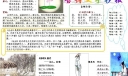 古诗文电子手抄报