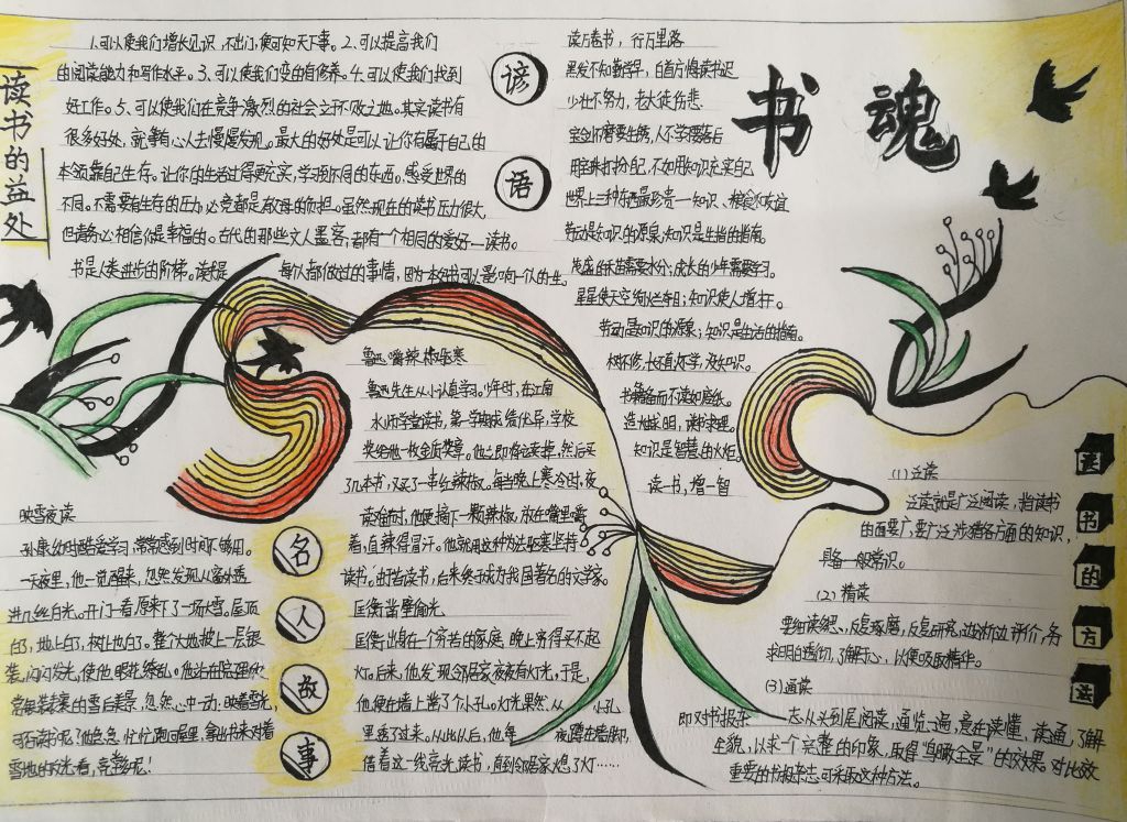 读书手抄报一等奖作品大全