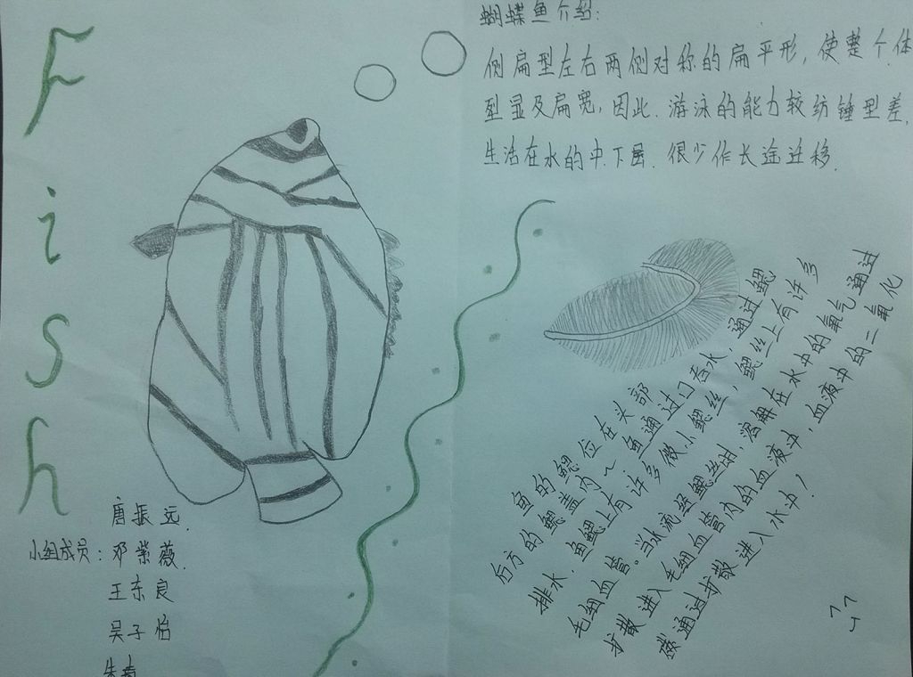 生物的呼吸手抄报