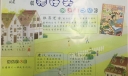 猪仔头的温暖之旅手抄报