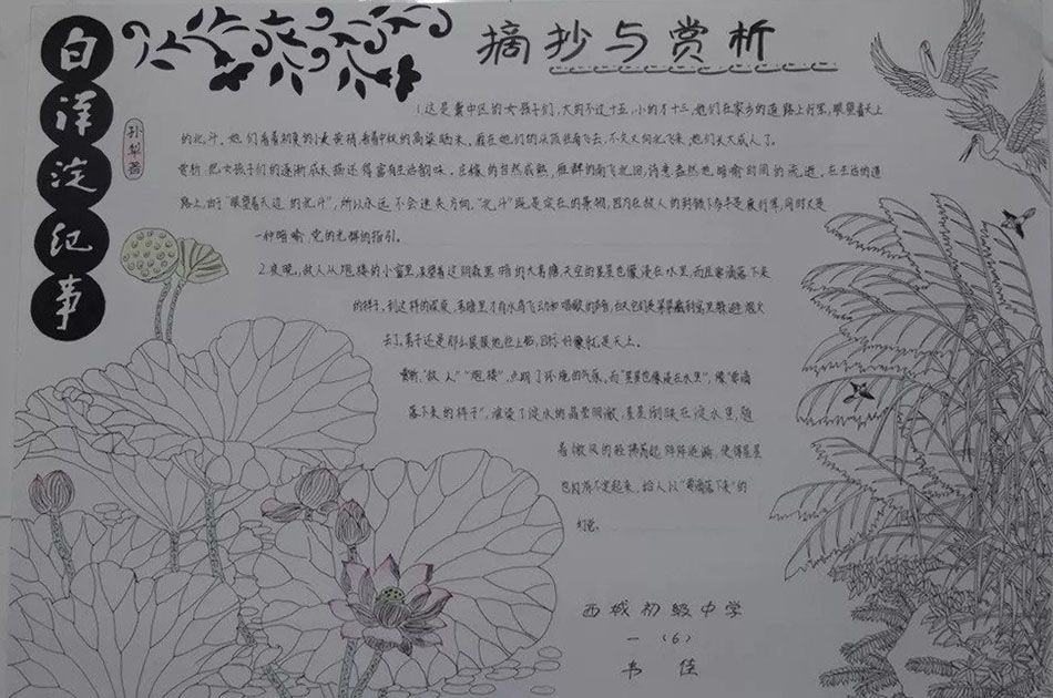 白洋淀纪事手抄报，泰州大阅读必读书目