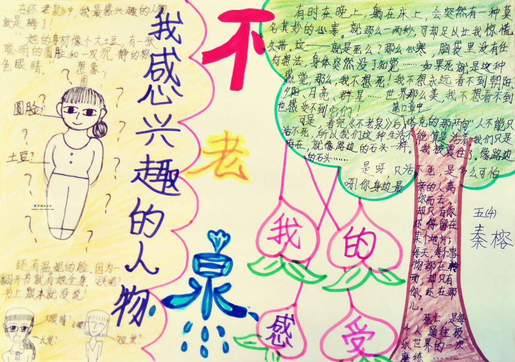 不老泉手抄报图片