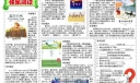 语文电子手抄报图片