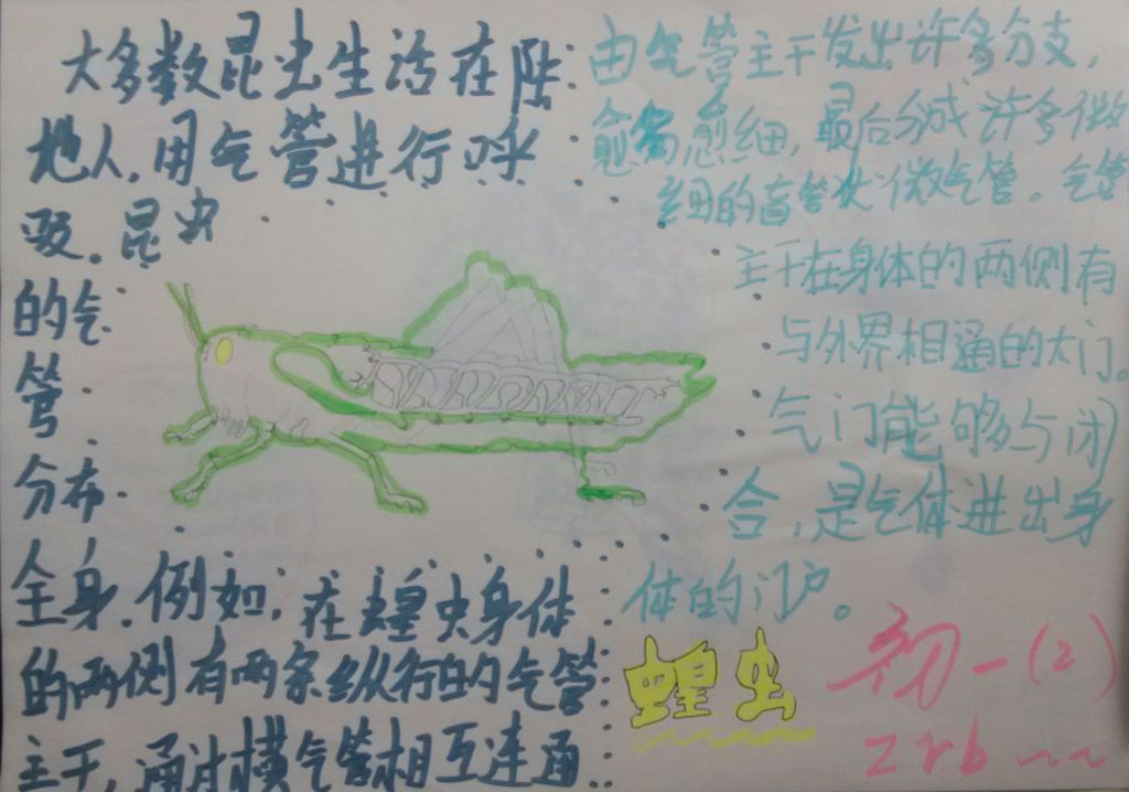 生物的呼吸手抄报