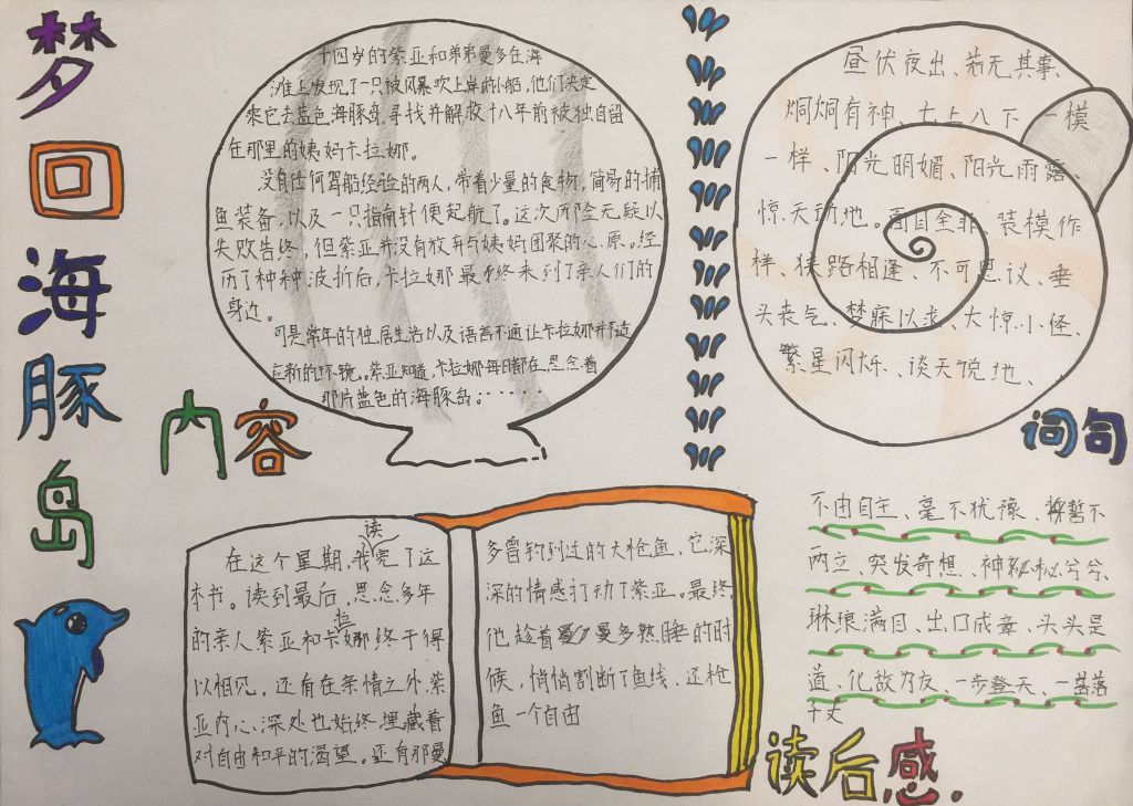 梦回海豚岛手抄报