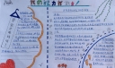 我的视力我做主手抄报