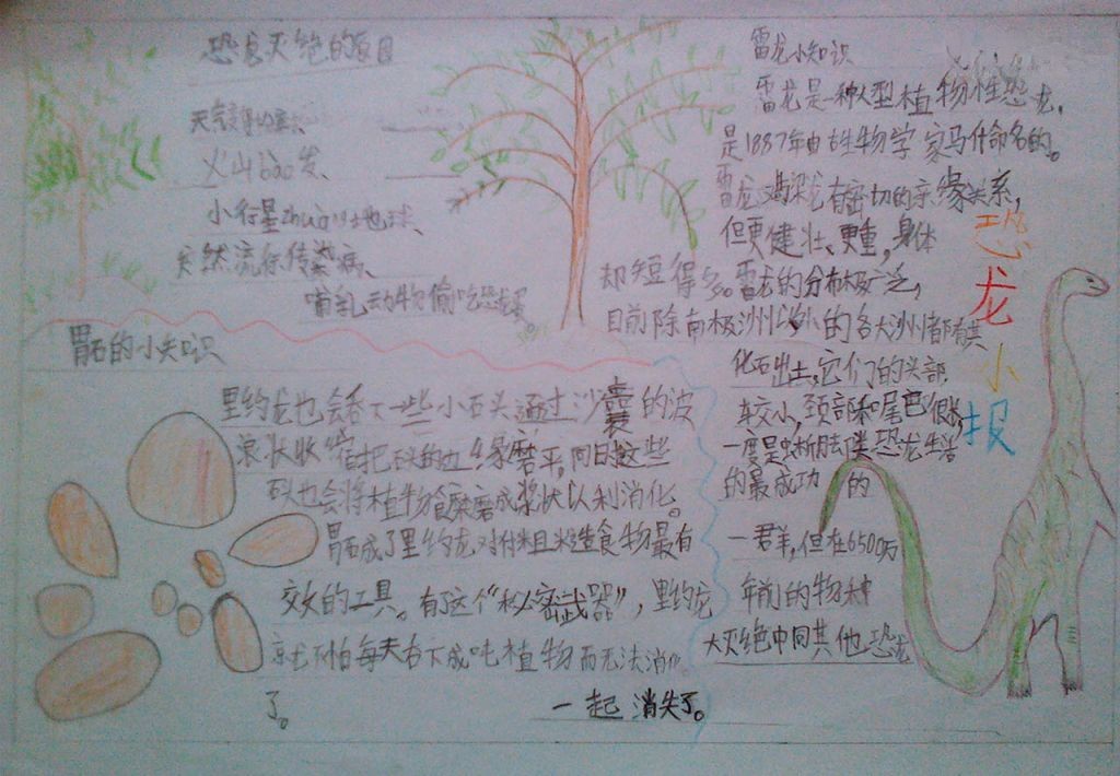 恐龙的灭绝手抄报