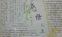 人生感悟的手抄报