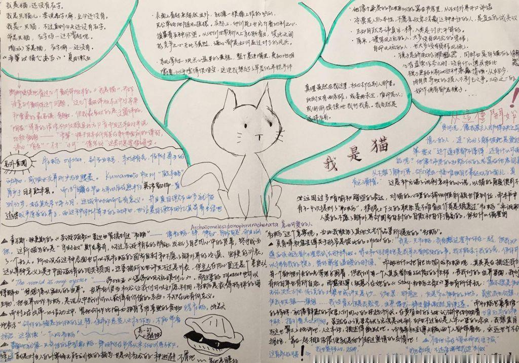 《我是猫》阅读小报 《我是猫》阅读小报