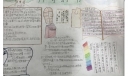神奇的书手抄报图片