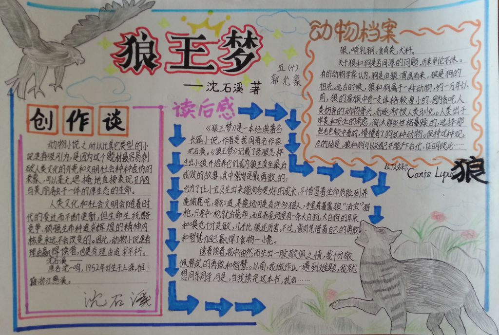 狼王梦读后感手抄报大全