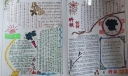 大学生科技创新手抄报