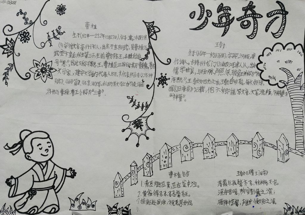 少年奇才手抄报大全