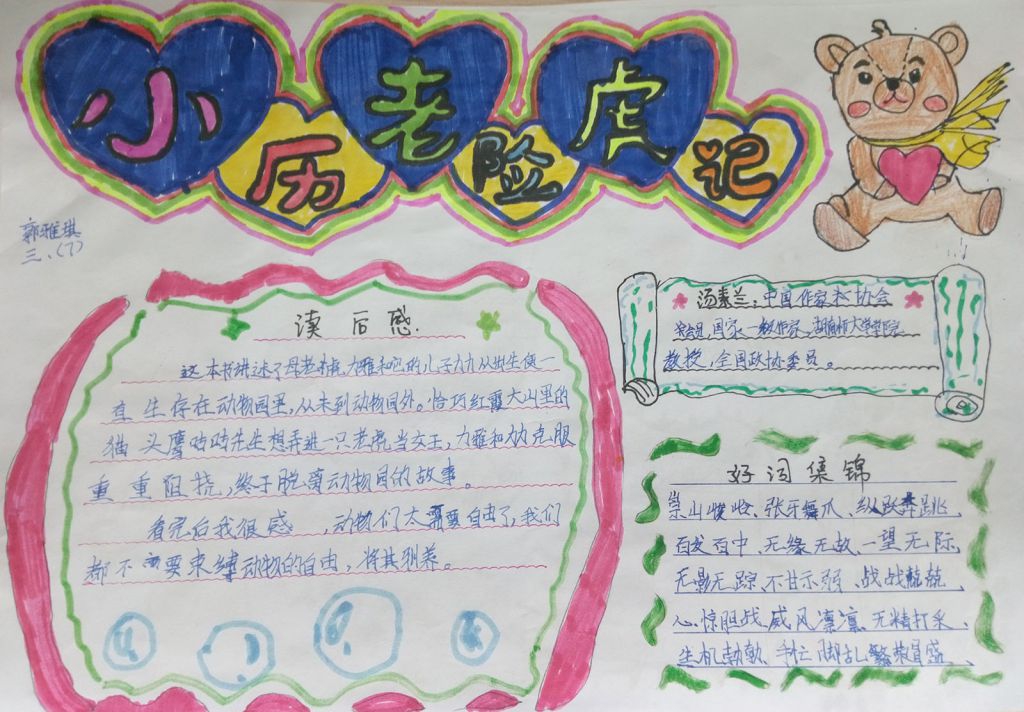 小老虎历险记手抄报图片大全（）
