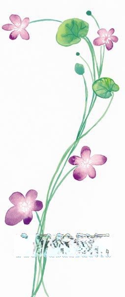 word花边大全