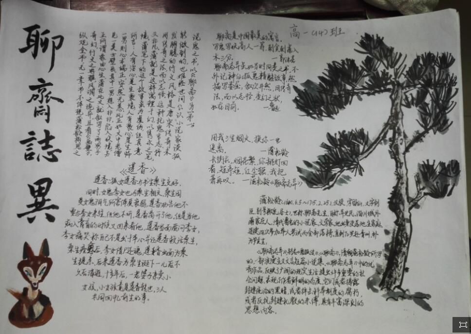 我最喜爱的一本书手抄报