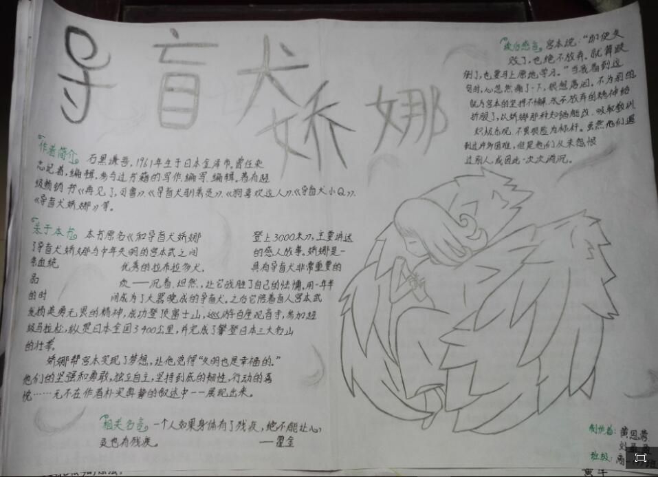 我最喜爱的一本书手抄报