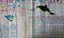 未征服的世界—海底世界手抄报