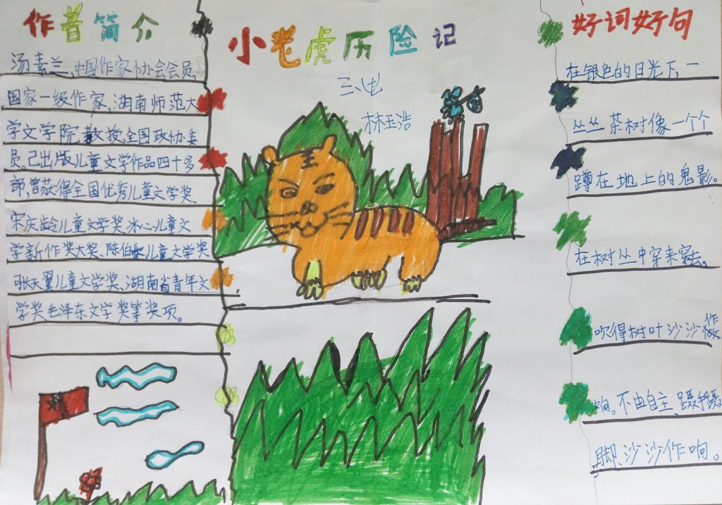 小老虎历险记手抄报图片大全（）