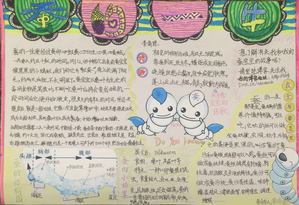 蚕的世界手抄报图片