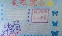 走近沈石溪手抄报图片