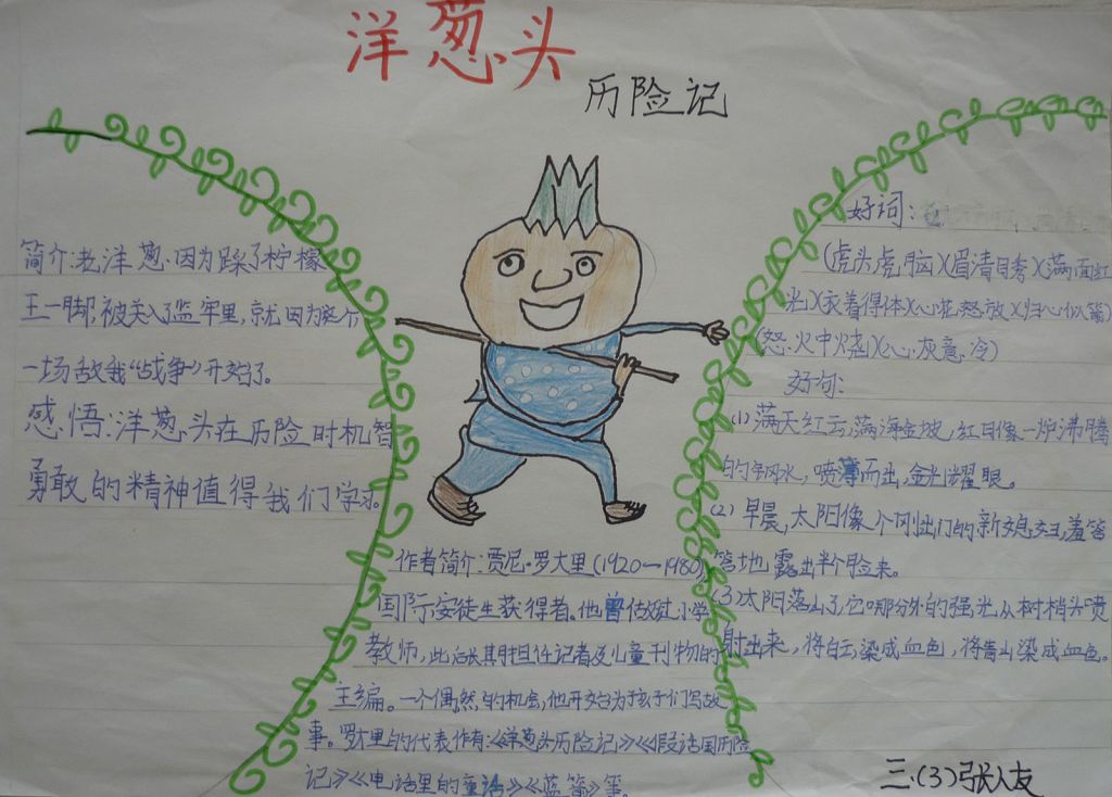 《洋葱头历险记》读后感手抄报