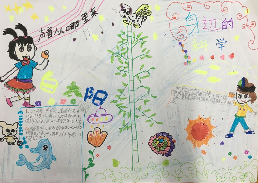 身边的科学手抄报图片大全简单又漂亮